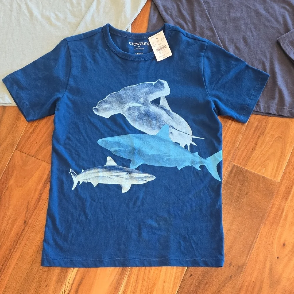 Crewcuts Boys 10-12. NWT. 2 LS Shirts & 1 SS Shirt. - Picture 2 of 7